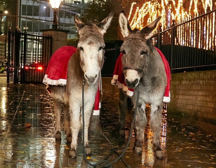 Christmas With Coram 2025